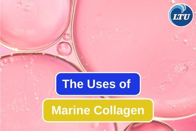 5 Things That Marine Collagen Does For Human